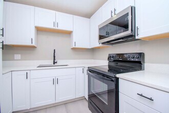 1313 Eagleview Dr in Brandon, FL - Building Photo - Building Photo
