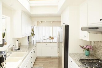 1647 Haydn Dr in Encinitas, CA - Foto de edificio - Building Photo