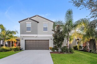 11458 Sage Canyon Dr. in Riverview, FL - Building Photo