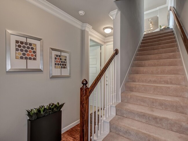 property at 2443 FM 1488