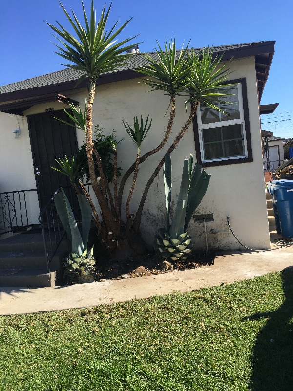 property at 652 School Ave