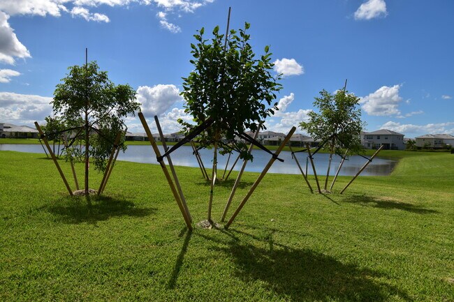 5773 Aleppo Pne Pl in Westlake, FL - Building Photo - Building Photo