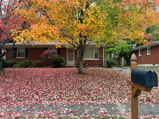 property at 4019 Winnepeg Way