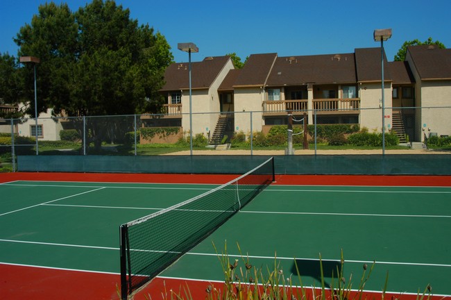 Rose Pointe Apartments in Fullerton, CA - Building Photo - Building Photo