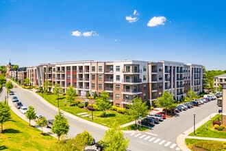 City Walk Apartments in Charlottesville, VA - Building Photo - Building Photo