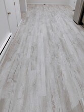 3609 W Forest Park Ave, Unit #2 in Baltimore, MD - Foto de edificio - Building Photo