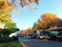 Willow Springs in Puyallup, WA - Foto de edificio - Building Photo