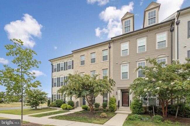 805 Basswood Dr in Stafford, VA - Building Photo - Building Photo