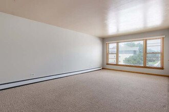 5217 W 87th St-Unit -2 in Oak Lawn, IL - Building Photo - Building Photo