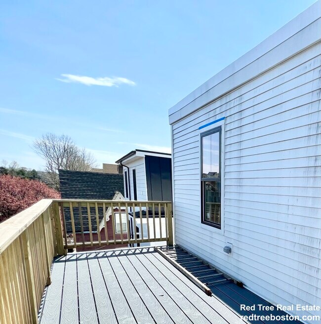 property at 79 Sydney St