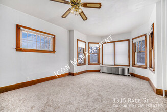 1315 Race St in Kalamazoo, MI - Building Photo - Building Photo
