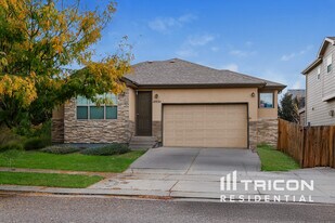 10551 Xanadu St in Commerce City, CO - Building Photo