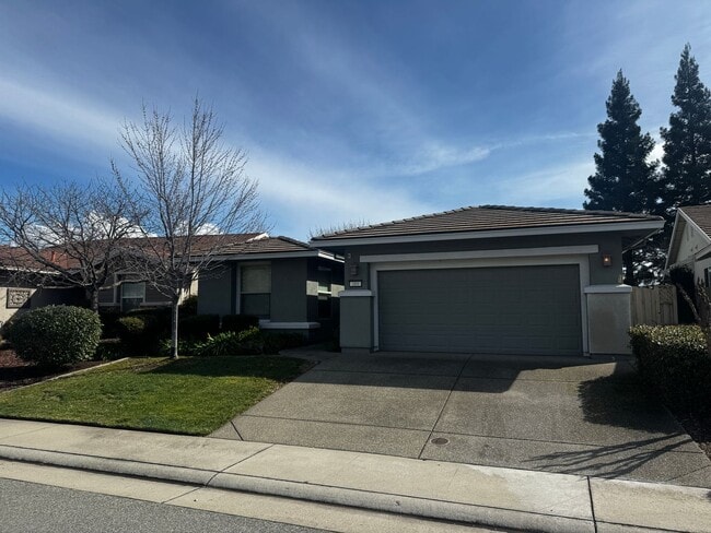 389 Snapdragon Ln in Lincoln, CA - Building Photo - Building Photo