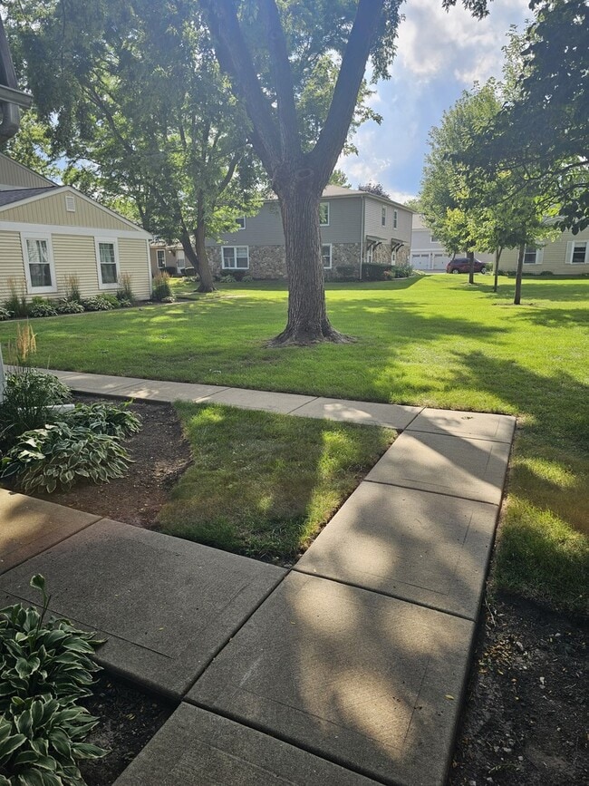 350 Meadow Ct in Vernon Hills, IL - Building Photo - Building Photo