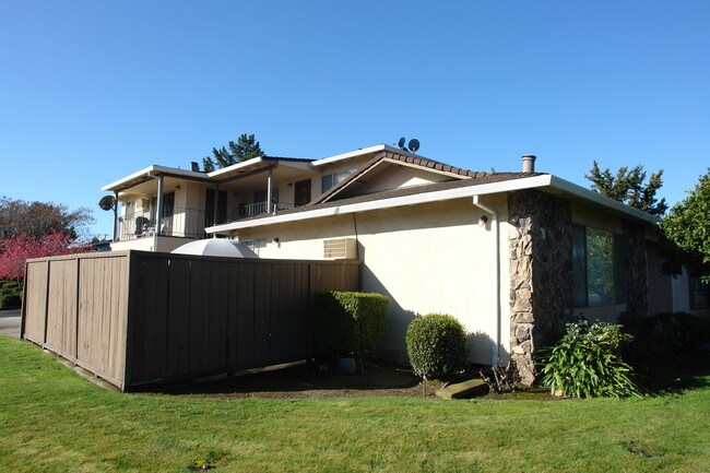 3802 Moorpark Ave in San Jose, CA - Building Photo - Building Photo