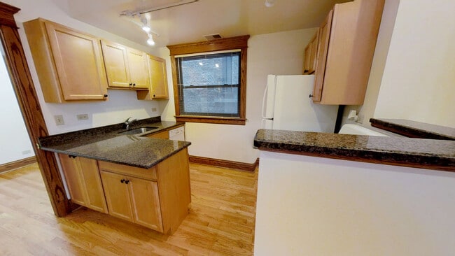 1139 W Webster Ave in Chicago, IL - Building Photo - Building Photo