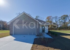 18817 Seabiscuit Ln in Zachary, LA - Building Photo