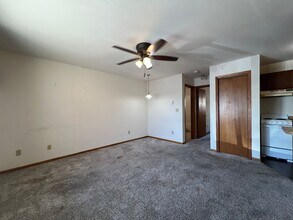 2nd St Flats in Rochester, MN - Building Photo - Interior Photo