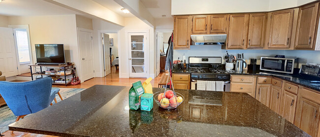 39 Falkland St in Boston, MA - Building Photo - Building Photo