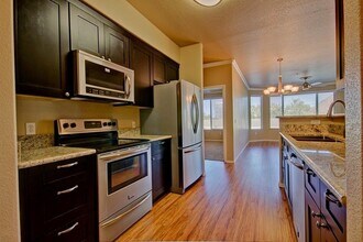 435 W Rio Salado Pkwy, Unit 206 in Tempe, AZ - Building Photo - Building Photo