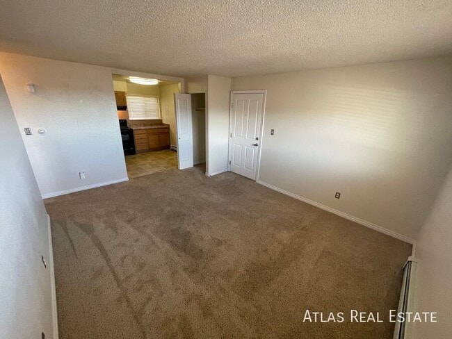 2913 Straus Ln in Colorado Springs, CO - Building Photo - Building Photo