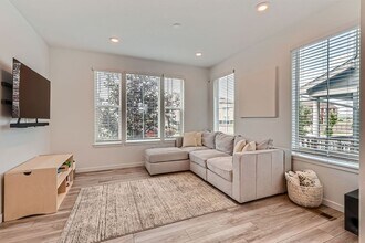 583 Greenville in Erie, CO - Building Photo - Building Photo