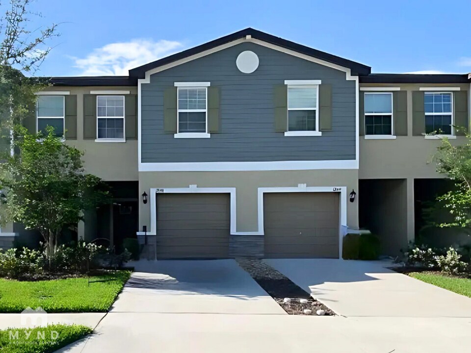 17668 Nectar Flume Dr in Land O Lakes, FL - Building Photo