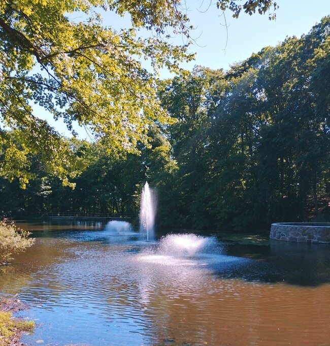 property at 50 Aiken St