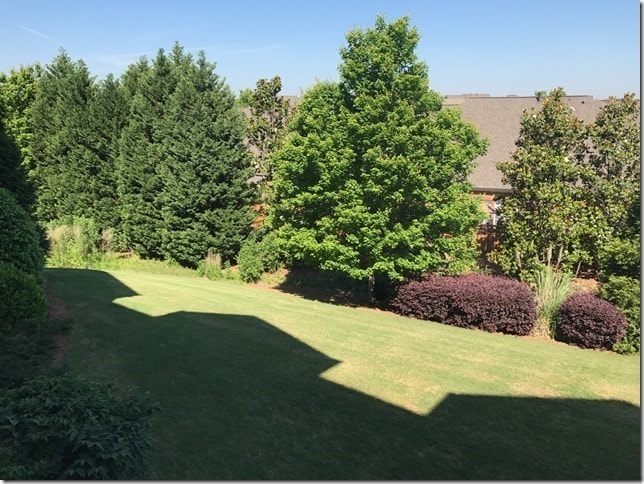property at 14327 San Paolo Ln