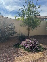 10511 W Villa Hermosa in Peoria, AZ - Building Photo - Building Photo
