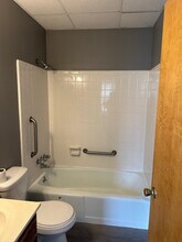 233 N Chestnut St in Lansing, MI - Building Photo - Building Photo