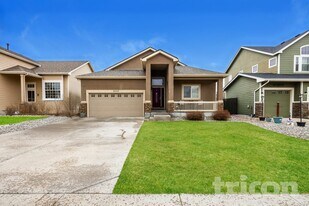 6557 Roundup Butte St in Colorado Springs, CO - Building Photo