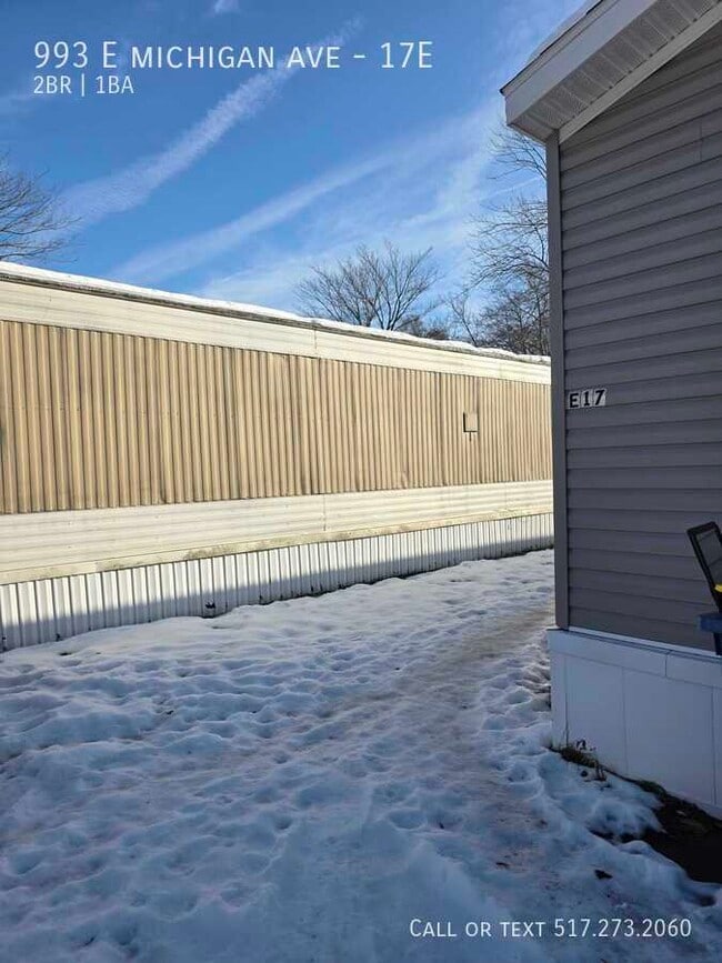 property at 993 E Michigan Ave