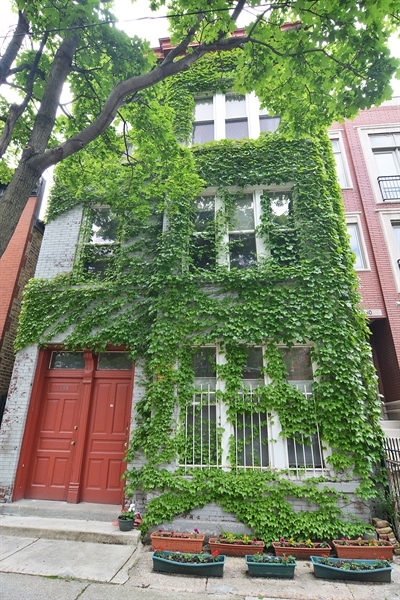 1028 N Paulina St in Chicago, IL - Foto de edificio