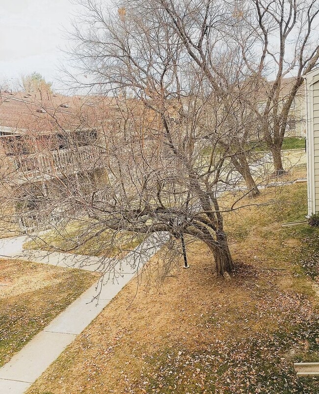 8225 Fairmount Dr, Unit 6-207 in Denver, CO - Building Photo - Building Photo