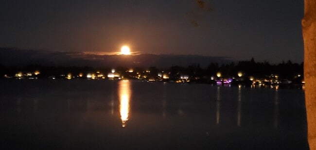 1611 Vernon Rd in Lake Stevens, WA - Building Photo - Building Photo