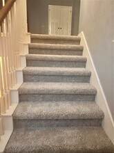 3538 Shiraz Loop in Round Rock, TX - Building Photo - Building Photo