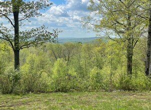 170 Rabbit Hill Rd in Warren, CT - Building Photo - Building Photo
