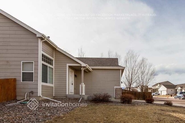 7263 Creekfront Dr in Fountain, CO - Building Photo - Building Photo