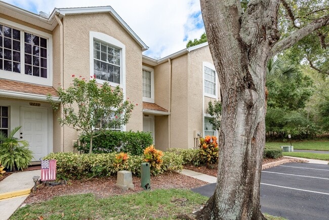 2241 Andover Cir in Palm Harbor, FL - Building Photo - Building Photo