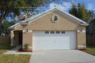 10301 Lakeside Vista Dr in Riverview, FL - Building Photo