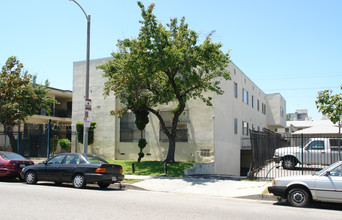 909 S St Andrews Pl in Los Angeles, CA - Building Photo - Building Photo