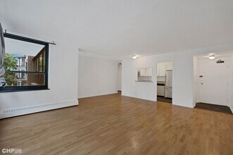 33 E Cedar St in Chicago, IL - Building Photo - Building Photo