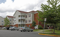 The Orchards at Belleville in Suffolk, VA - Building Photo - Building Photo