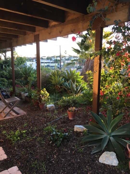 8301 Zitola Ter, Unit 1 in Playa Del Rey, CA - Foto de edificio
