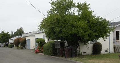 230-250 Smalley Ave in Hayward, CA - Building Photo - Building Photo