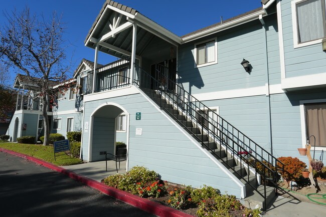 Cedar Woods Apartments in Vista, CA - Foto de edificio - Building Photo