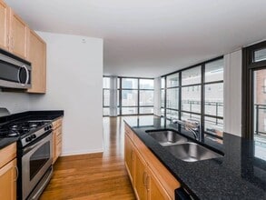 Astoria Tower in Chicago, IL - Building Photo - Building Photo