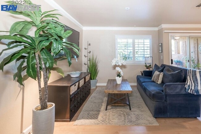 725 Watson Canyon Ct in San Ramon, CA - Building Photo - Building Photo