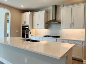 4567 Tivoli Dr in Zephyrhills, FL - Building Photo - Building Photo